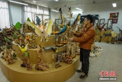 探访四川达州动物标本制作技艺:定格生命之美