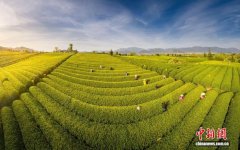 （全国两会）全国人大代表吴舜泽：拓宽山区百姓增收渠道 缩小收入差距