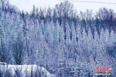 宁夏固原迎瑞雪润墒情 助力8.9万亩春小麦播种