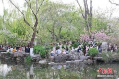 山东济南:泉畔花开醉游人